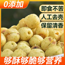 ʳɏӴִɏӵ͜Óˮ߲˸ʳȥоɏe׷؂