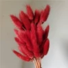 A jujube red rabbit tails around 60 pieces