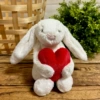 Rabbit, upgraded version