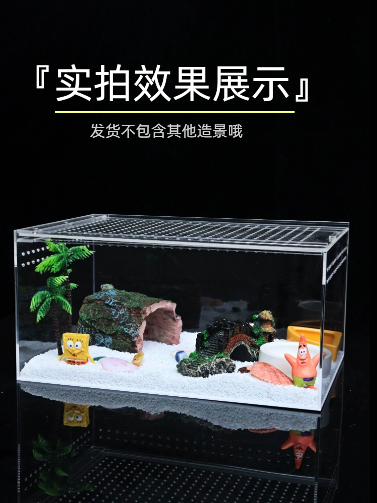 Хуаньцзю крабAvoid house large climbing pet tree holes to avoid ornaments, fish, shrimp, coconut shell horn frog to avoid landscape