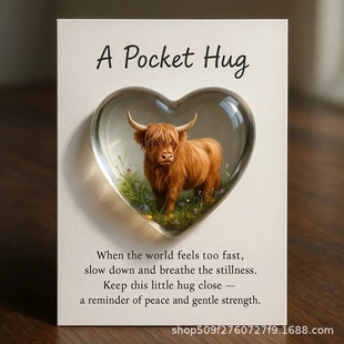 �羳��ƷPocket Hug with Gift Card��y�ڴ�2d������ Сţ