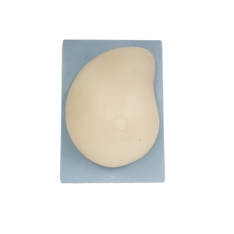 U076D breast examination model
