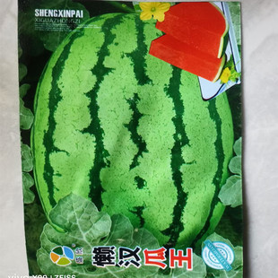 НhϷNNѴļˮ߲˷Nļ