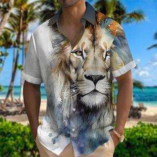 ֧�ֶ�ƽ̨һ�����l��ʿ3D�����r�����ϻ��D���W���羳Դ�^ֱ