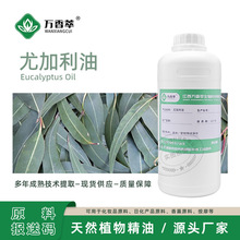 �����ȼ����� �ȼ������� ֲ�����s�η����� ������{����