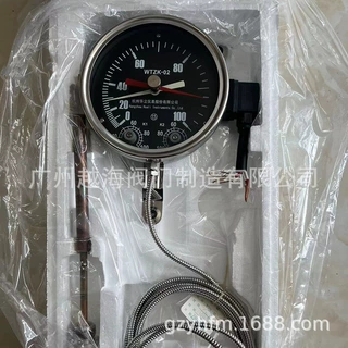 杭州华立仪表WTZK-02/03压力温度控制器杭州中科变压器油面温度计