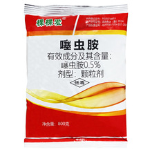 ���x���w���� ���x��ș��ș ϓ󩚢�xș�� ���x�����º��x ���x��