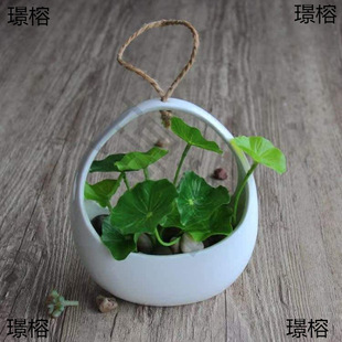�Gֲ�_�R�ڒ�ʽ�tɫ���@�����m�����մɒ젝���s��ɫˮֲ����