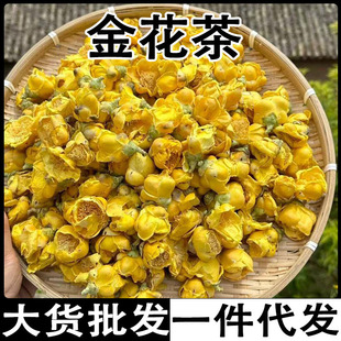 �𻨲� �V���𻨲� �𻨲軨�� �𻨲��~�� �𻨲����l���l