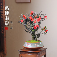 �N�����Ļ����Ԏ������ļ��_�����B�׻��̨ͥԺ����һ��һ��ֲ��