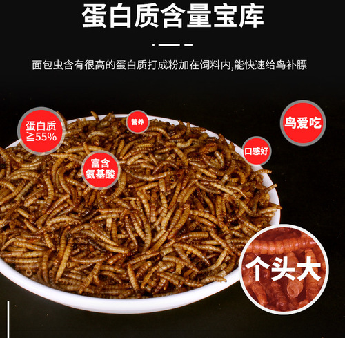 Rutin Chicken Bread Insect Snacks Yellow Mealworm Dried Parrot Golden Bear Feed Quail Hamster Hedgehog Nutritional Insects