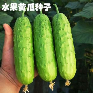 �ļ����Nˮ���S�Ϲ����ϸ߮aС�S�ϵ��d�̨���Բ����r���S�ϷN��