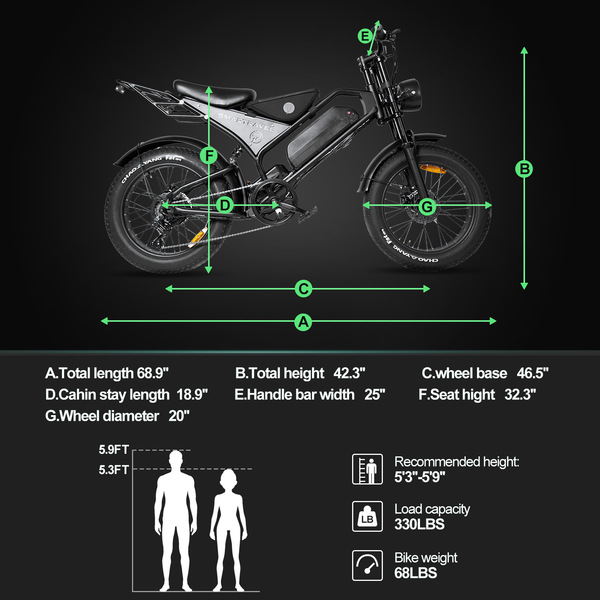 electric bike