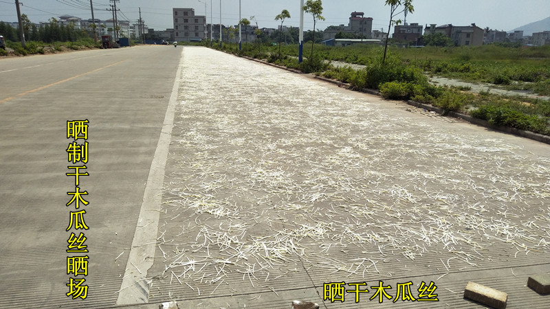 100-5.晒制干木瓜丝晒场8x45.jpg