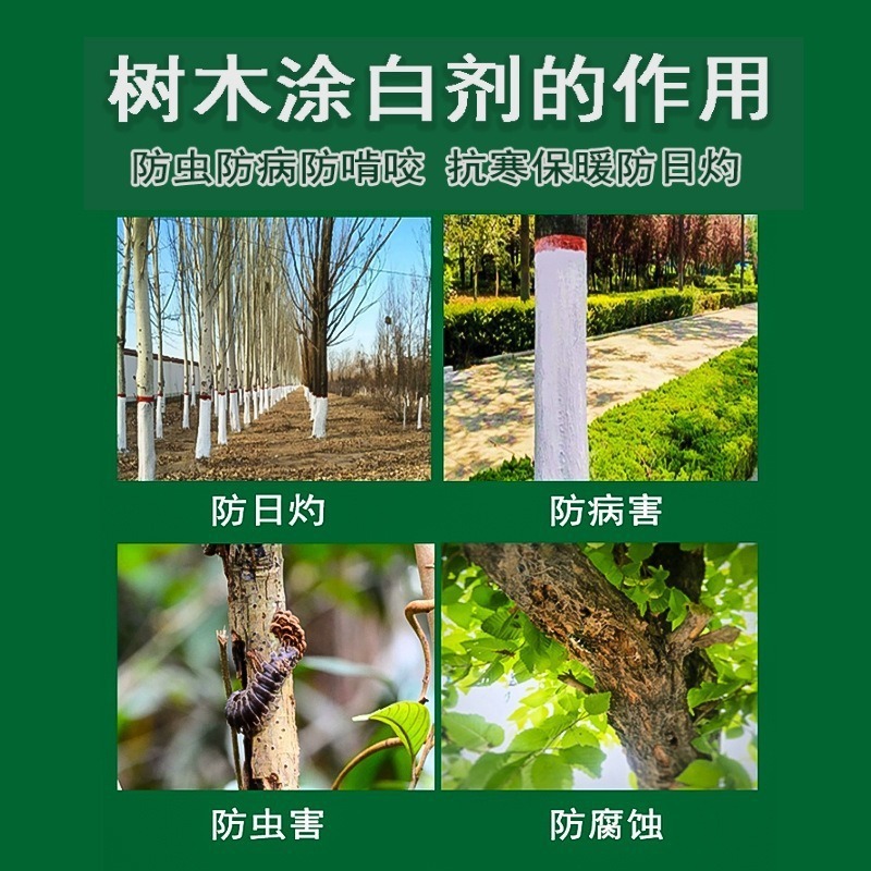 森佑涂白剂大树清园树木驱虫保暖防冻盆景园艺涂白粉防日灼2.5kg|undefined