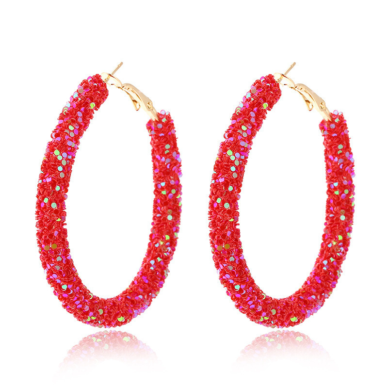 Sequins Pattern Plating Design 1 Pair Streetwear Sequins Plating Metal Hoop Earrings