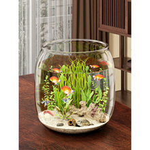 鱼缸生态缸客厅小型2024新款桌面观赏塑料圆形一体成型仿玻璃防摔