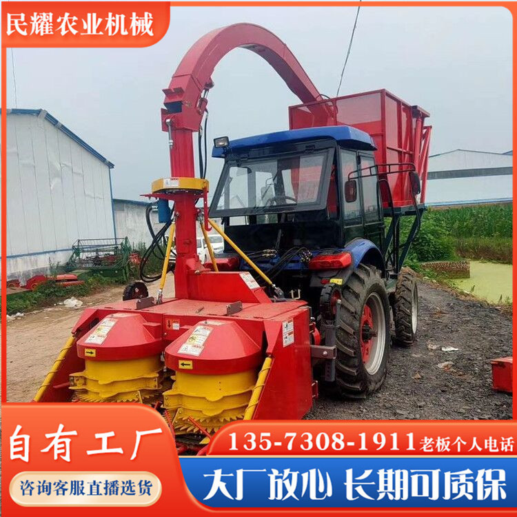 O1CN01g6f6jT1lFrttGYsh5_!!3191