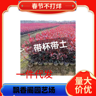 һ�����l�t�~ʯ骘��玧����������ͥԺ�G�������ļ����G����t