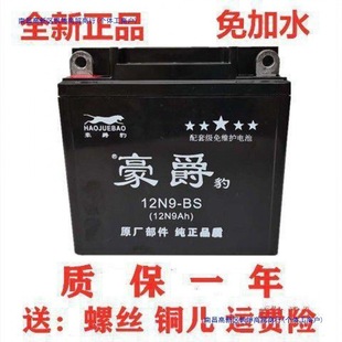 Motorcycle Battery Diamond Leopard Suzuki Motorcycle Dry Battery Bent Beam Car Battery