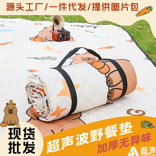 Ultrasonic Thickened Outdoor picnic mat Moisture-proof Floor Mat Portable Double-sided Waterproof Mat Camping Portable Oversized Folding Mat