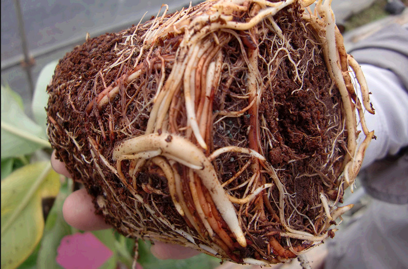 3919301673_899061148