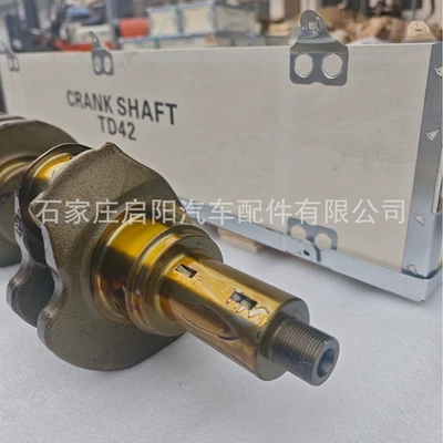 Crankshaft, camshaft for Nissan TD42