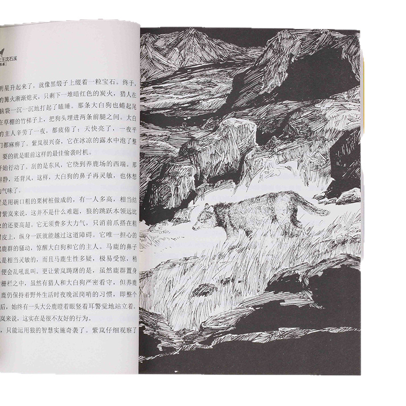 狼王の夢 本物の沈世渓動物小説 江少年児出版社 小学校3・4・5・6年生