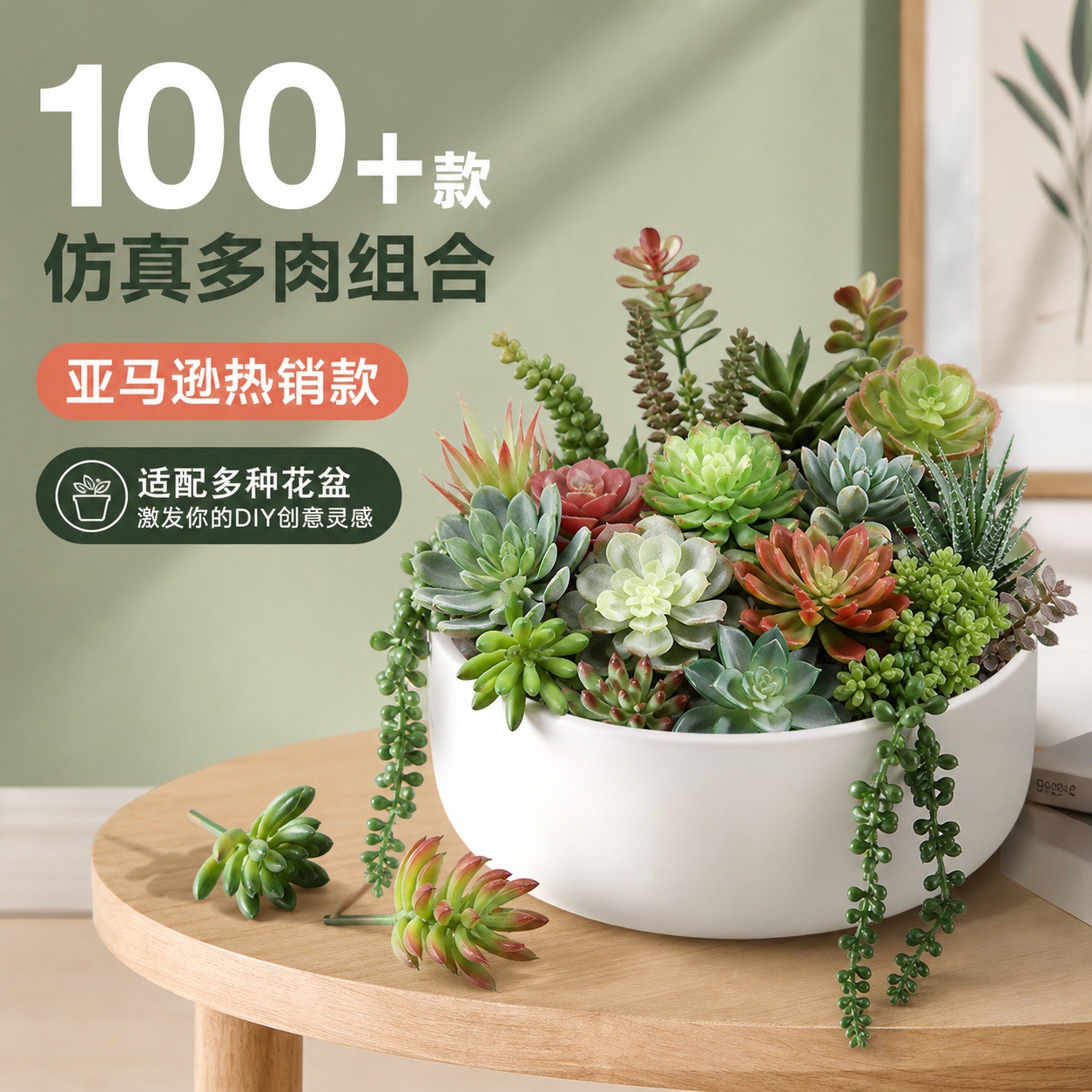 6101多肉 (6).jpg