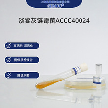 ���ϻ���ù��ACCC40024 AS4.415 ��׼�ʿ� �Ϻ��ֻ�