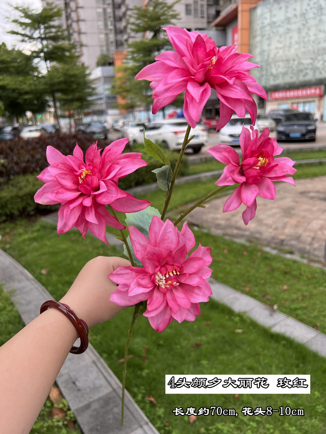 微信图片_20220813110647_副本