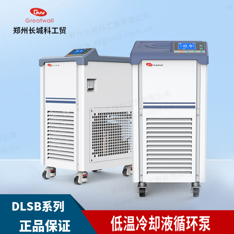 低温冷却液循环泵DLSB系列实验室低温泵制冷机恒温装置 制冷机