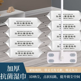 其他家务清洁;除尘掸;拖把、拖布桶