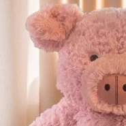 Доплата разницы в цене