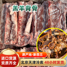 羔羊羊蝎子新西兰20.24kg羔羊羊脊骨羊蝎子箱装冷冻火锅食材