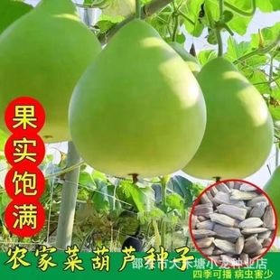 ��ʳ�ò˺��J�N���ļ�����ư���J�N�ӿ�����ˮư�ļ��@�ֺ��J�N��