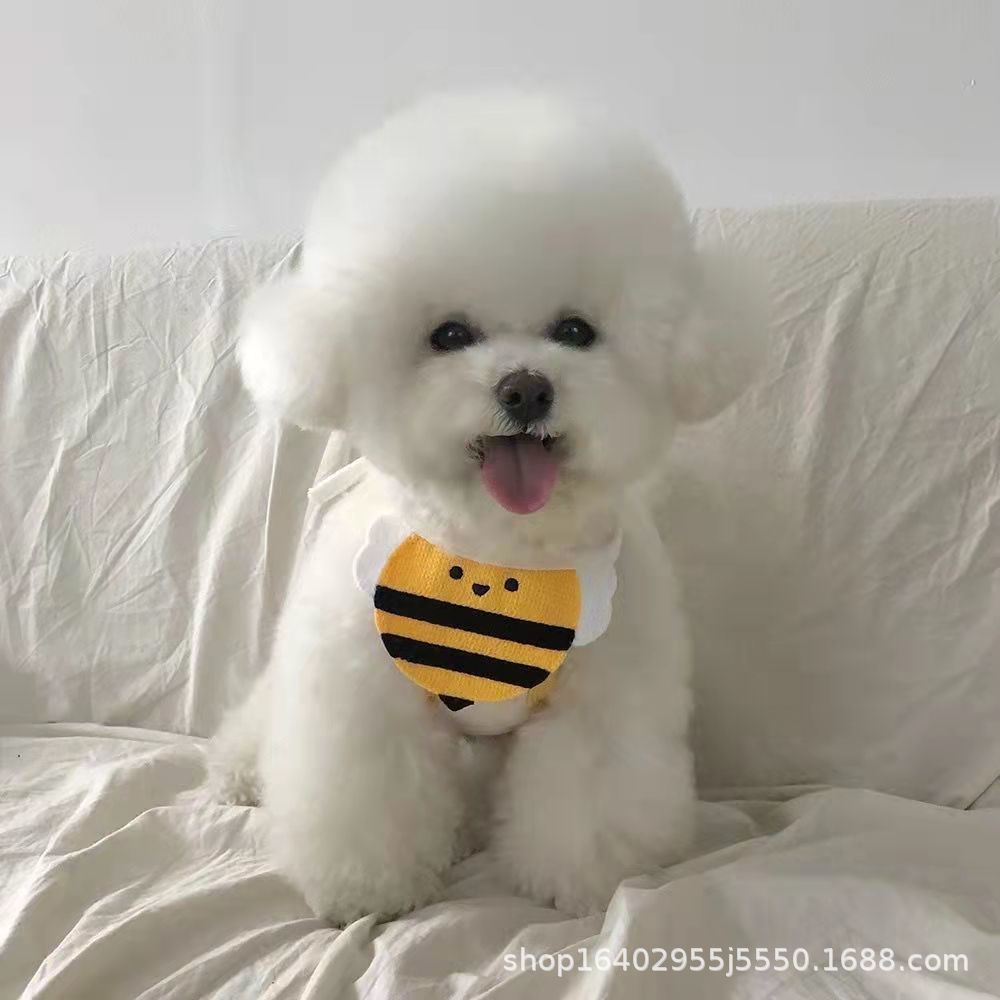 레이스업 미끄러운 말벌