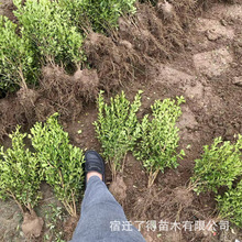 ���l�����S��Сë���|���ùڷ�����������߅ͥԺ�G�hС�~�S����B