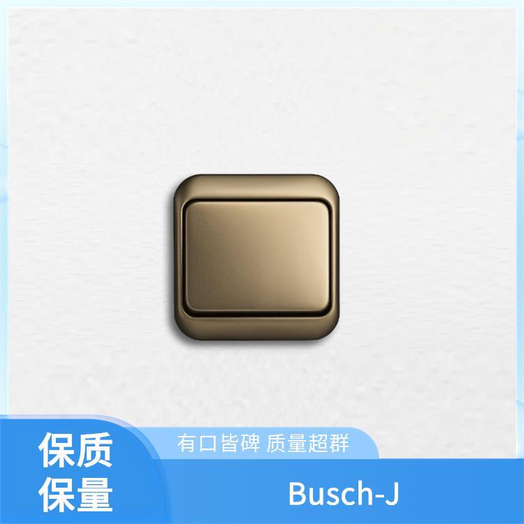 烟气热探测器 2CKA006300A1584 Busch-Jaeger 门通信 3558-A21342