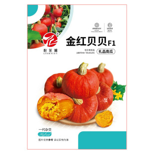 �����������tؐؐ��Ʒ�|����tؐؐ�ϹϷN�� ������S��Ŵ����