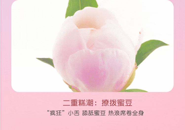 Trứng Rung Kẹp Đầu Ti Ngực undefined