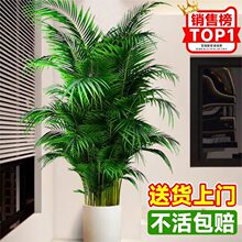 ɢβ���Pβ�����Կ͏d����ȩ�����ĸ��FҬ���҃��ļ����B�辰�Gֲ