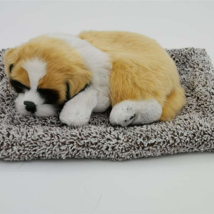 San Bernardo Grande para enviar un gato de pelo gris