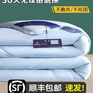 Export A+ Silk Quilt, Mulberry Silk Spring and Autumn Quilt, Summer Cooling Quilt, Air Conditioning Quilt, Student Quilt, Quilt Core Thickened for Winter