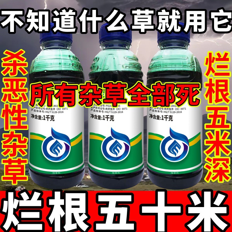 高浓度精草铵膦铵盐除草剂小飞蓬斩草除根杂草不知道什么草就用它