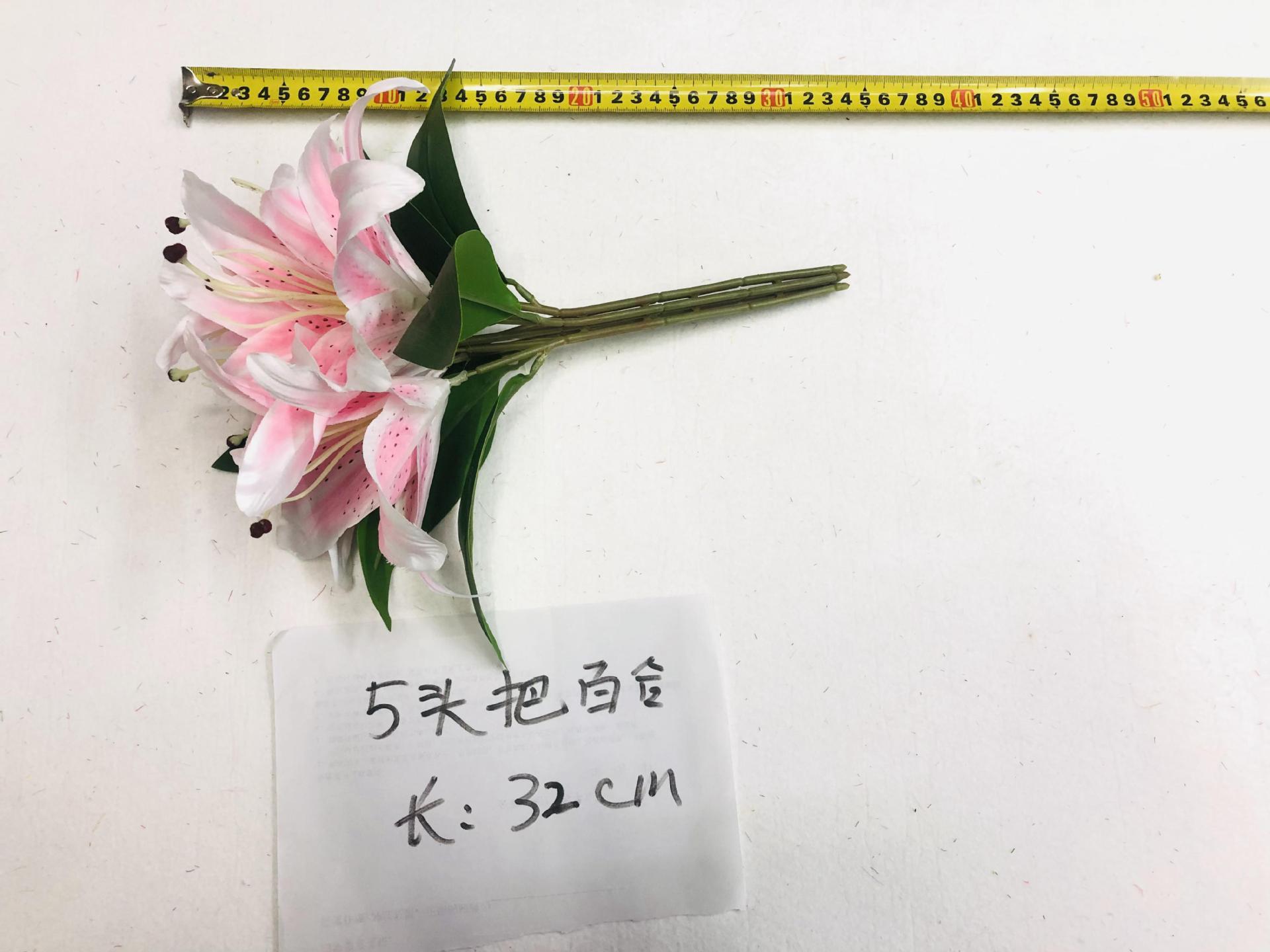 2021_08_15_13_42_IMG_2633