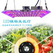 跨境全光谱量子板植物补光灯小麦水稻西红柿生菜花卉LED生长灯