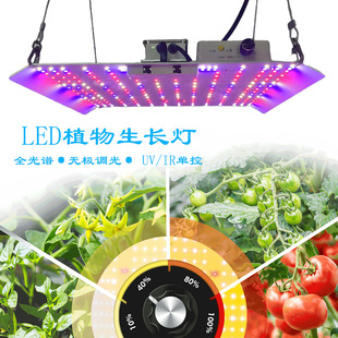 �羳ȫ���V���Ӱ�ֲ���a���С��ˮ�����t�����˻���LED���L��