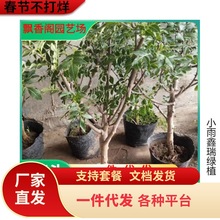 һ�����l�Ĵ��hԴ�ٽ������໨�����o�̻����G�����齷��o��