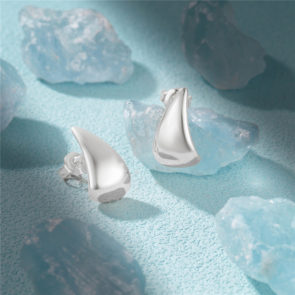 6g Weight 925 Sterling Silver Ear Needle Material Zircon Inlay Material Ear Studs Classification 1 Pair Quantity Daily, Street Occasion 925 Sterling Silver Material Geometric Pattern Women's Gender Plating, Inlay Design Simple Style Style 1 Pair 925 Sterling Silver Zircon Geometric Ear Studs 17